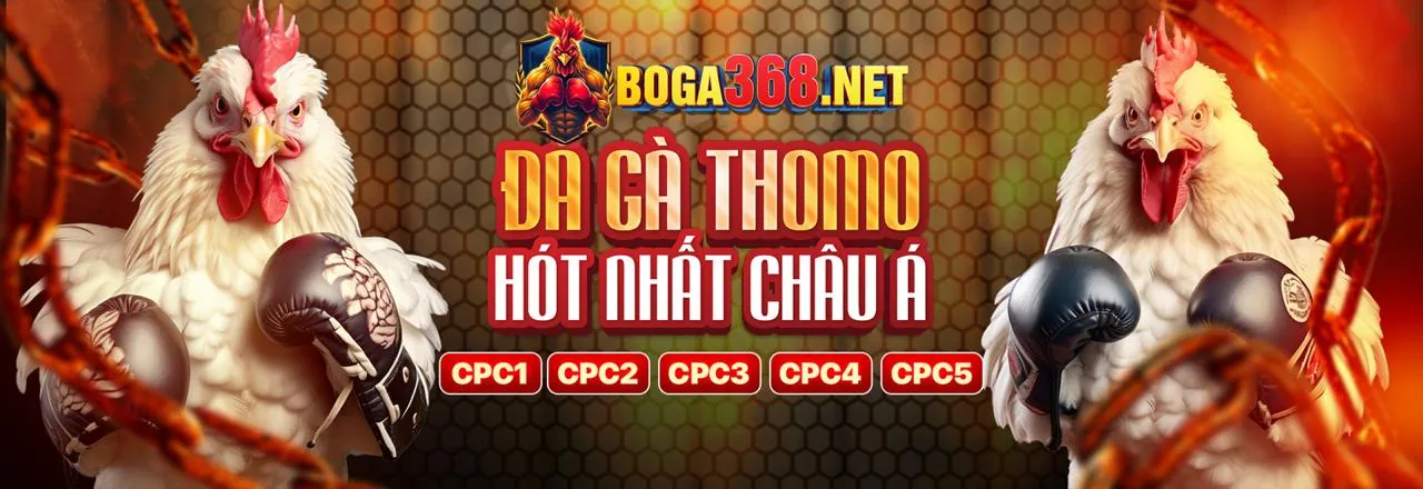 Đá Gà Trực Tuyến 5hu88